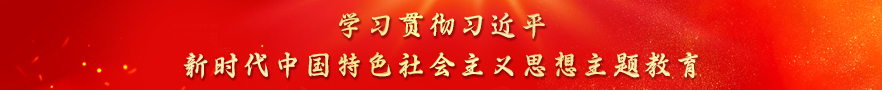 学习贯彻习近平新时代中国特色社会主义思想主题教育